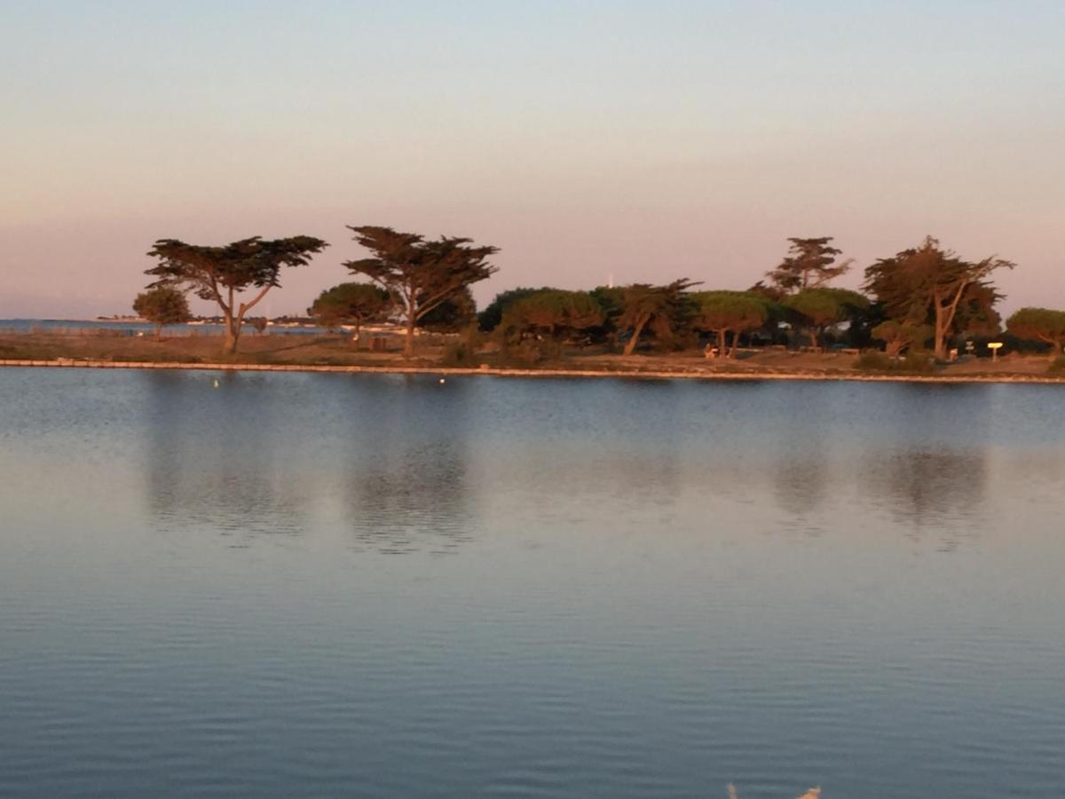Villa Miha سان مارتن دو ر المظهر الخارجي الصورة